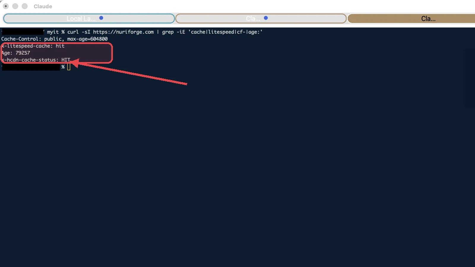 Terminal curl showing WordPress caching response headers with LiteSpeed cache hit, CDN HIT status and Age.